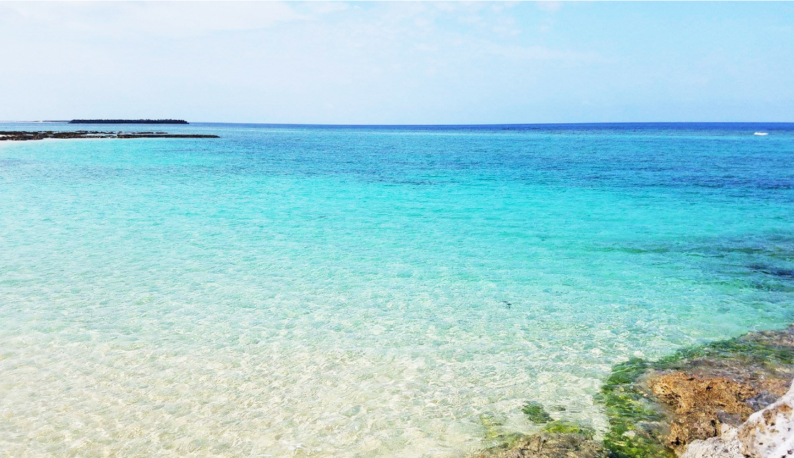 島の八百屋さん